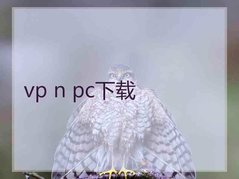 vp n pc下载