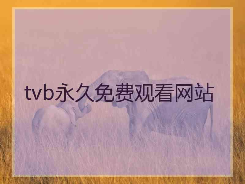 tvb永久免费观看网站