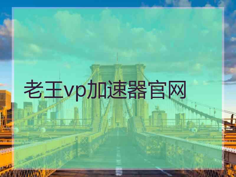 老王vp加速器官网