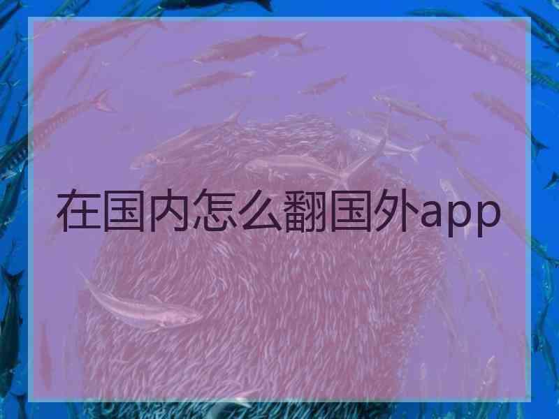 在国内怎么翻国外app