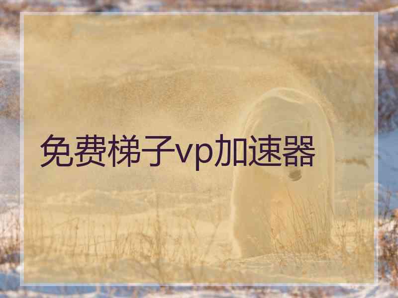 免费梯子vp加速器