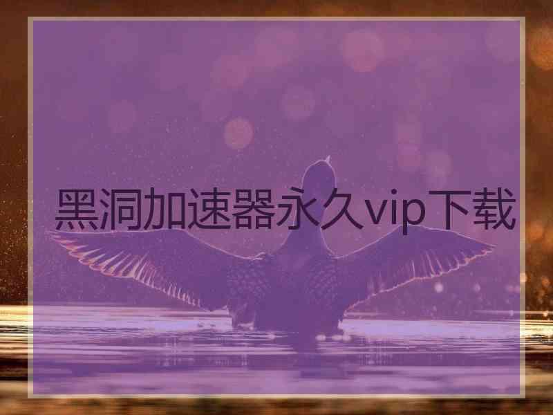 黑洞加速器永久vip下载