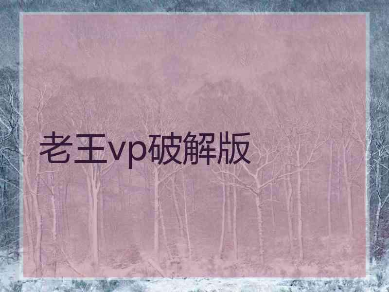 老王vp破解版