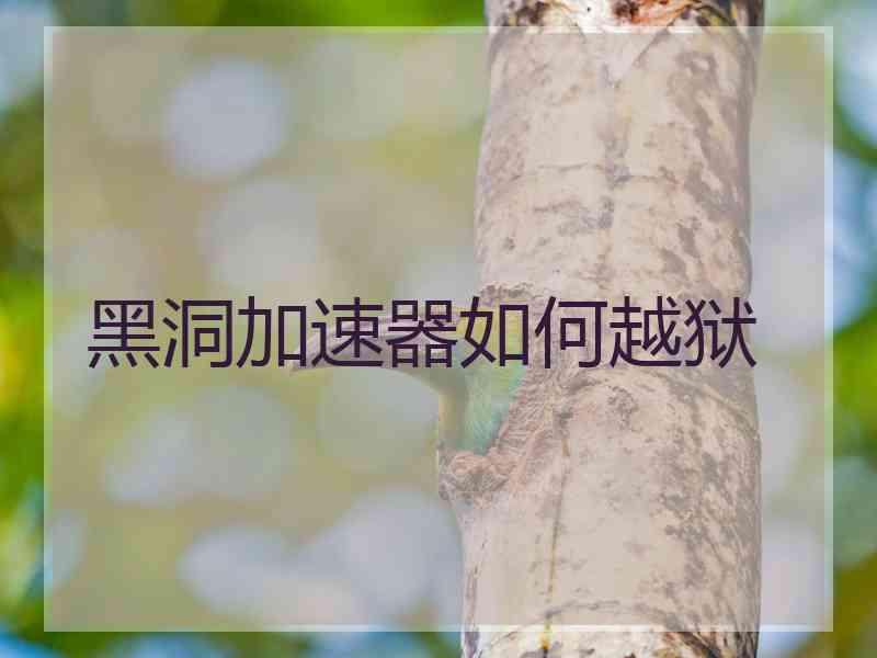 黑洞加速器如何越狱