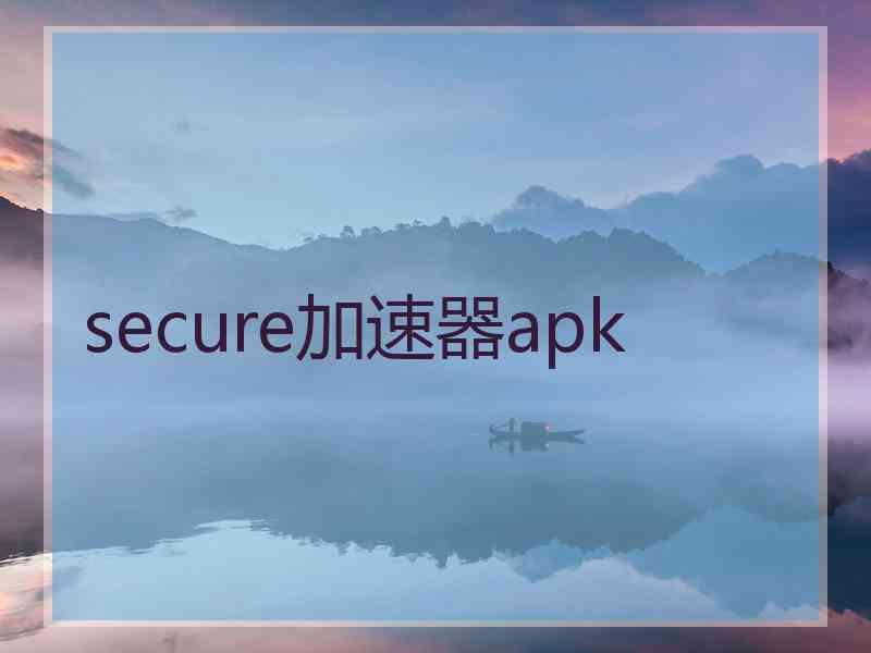 secure加速器apk