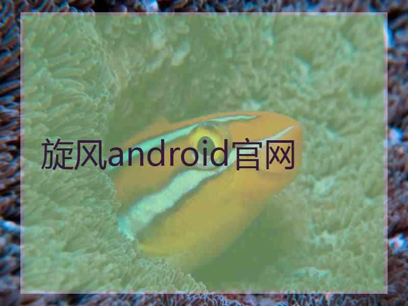 旋风android官网