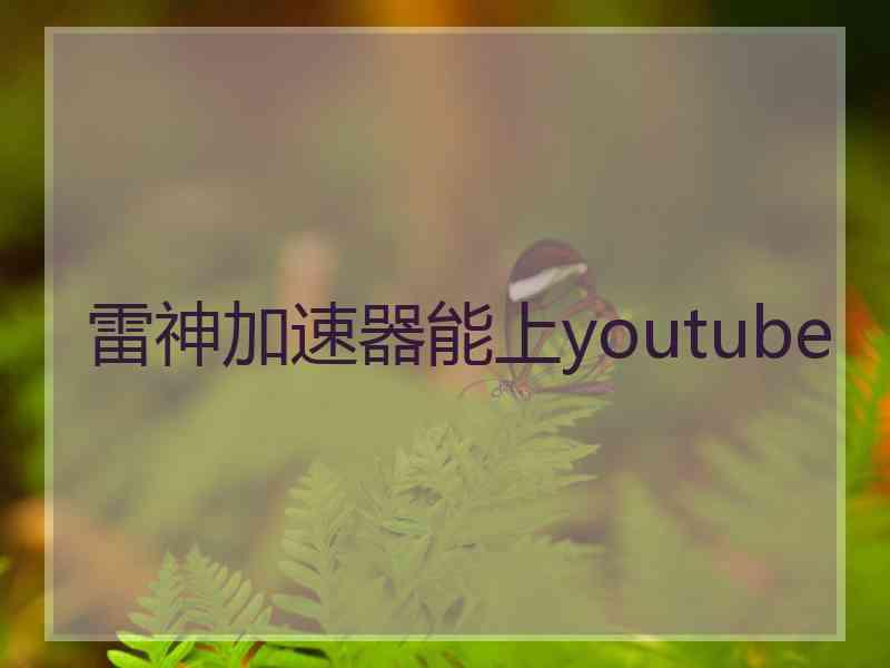 雷神加速器能上youtube