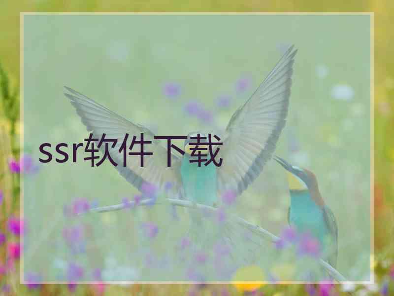 ssr软件下载