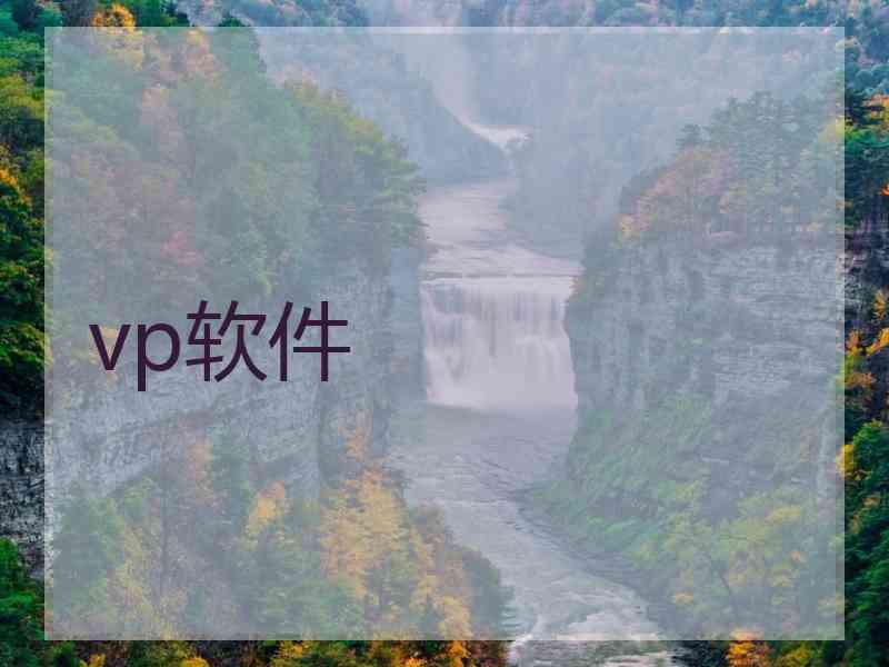 vp软件