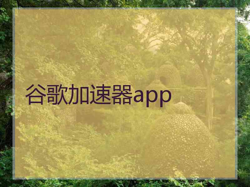 谷歌加速器app