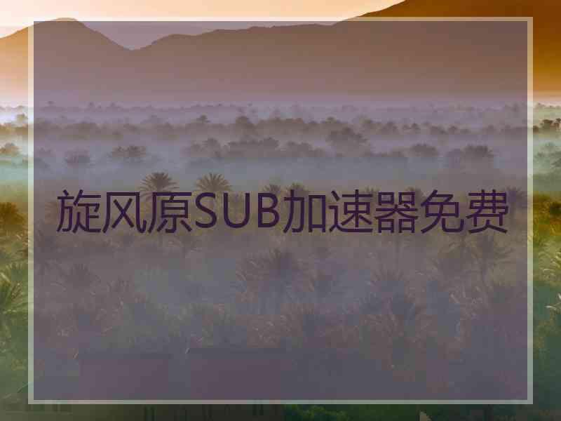 旋风原SUB加速器免费