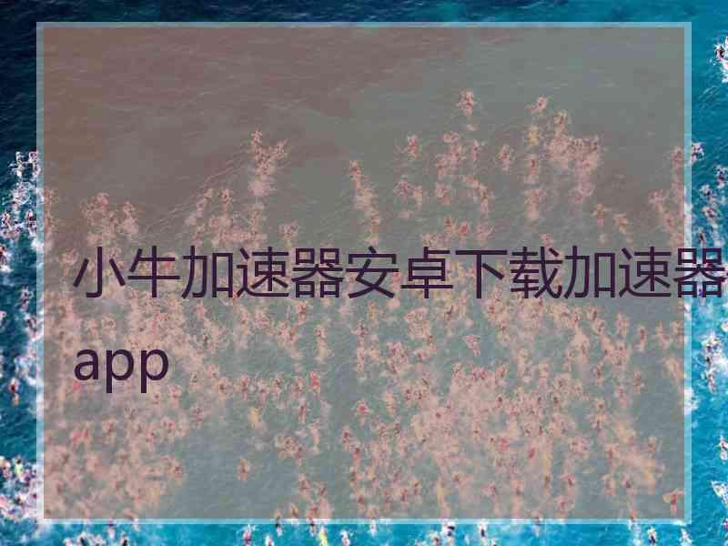 小牛加速器安卓下载加速器app