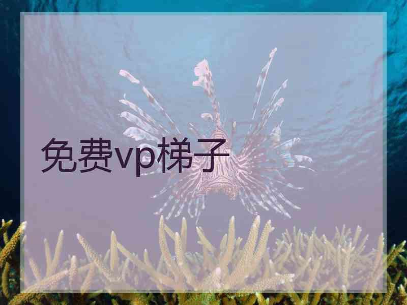 免费vp梯子