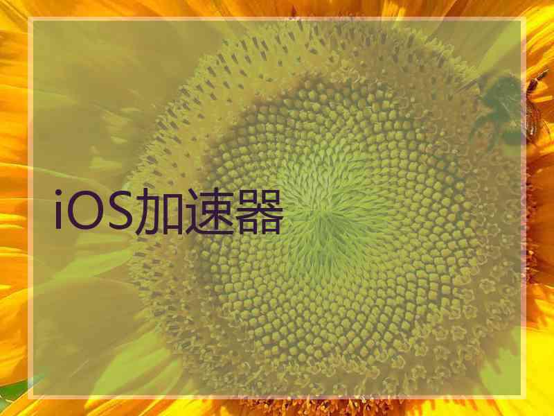 iOS加速器