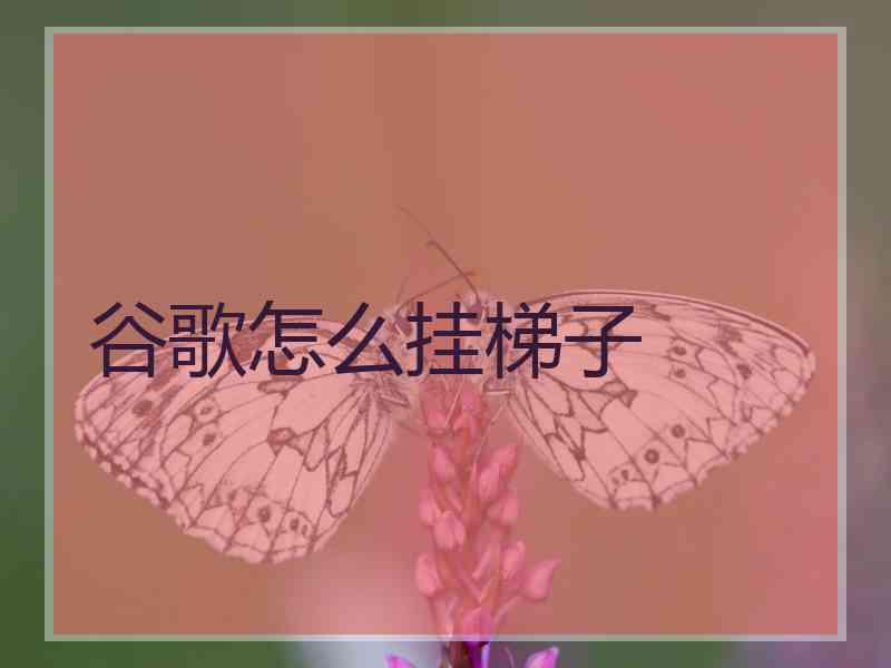 谷歌怎么挂梯子