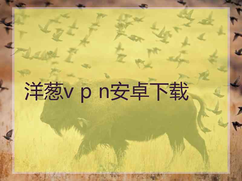 洋葱v p n安卓下载