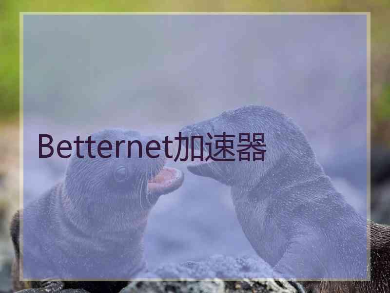 Betternet加速器