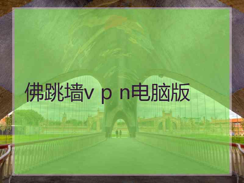 佛跳墙v p n电脑版