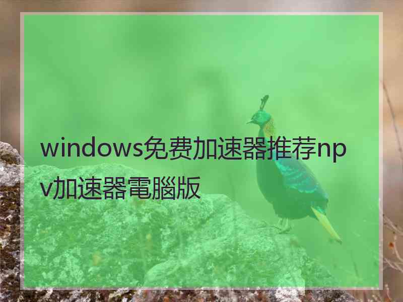 windows免费加速器推荐npv加速器電腦版