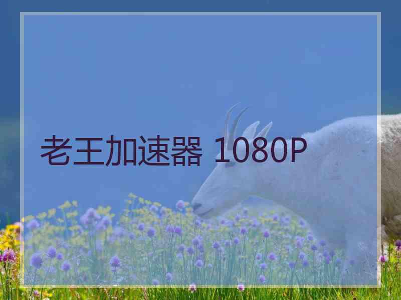 老王加速器 1080P