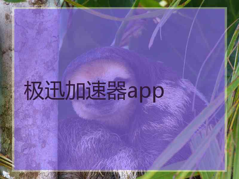 极迅加速器app