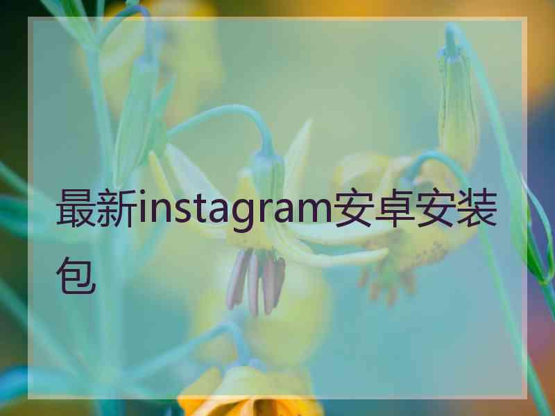 最新instagram安卓安装包