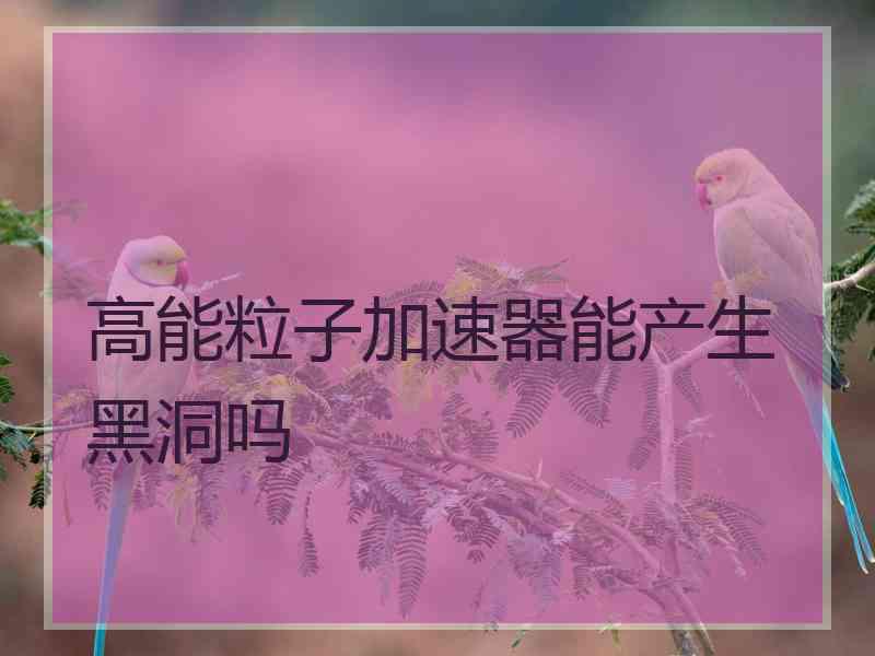 高能粒子加速器能产生黑洞吗