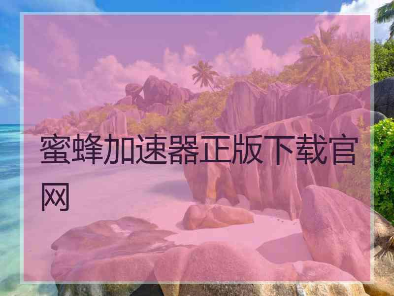 蜜蜂加速器正版下载官网