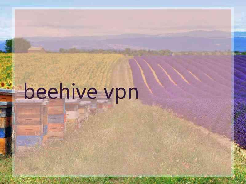 beehive vpn