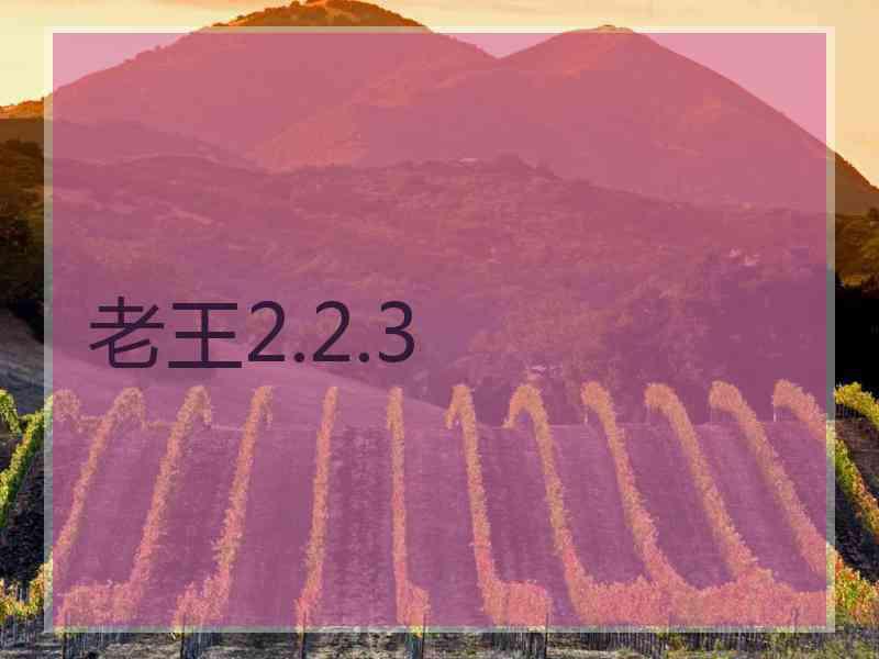 老王2.2.3