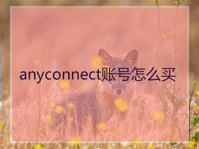 anyconnect账号怎么买