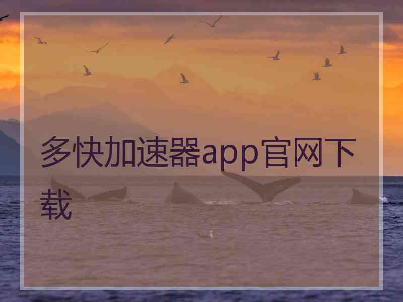 多快加速器app官网下载