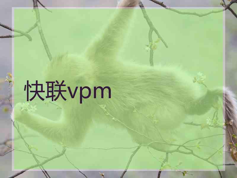 快联vpm