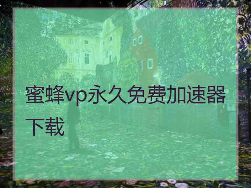 蜜蜂vp永久免费加速器下载