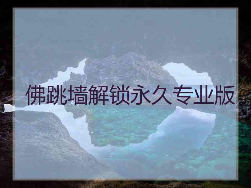 佛跳墙解锁永久专业版