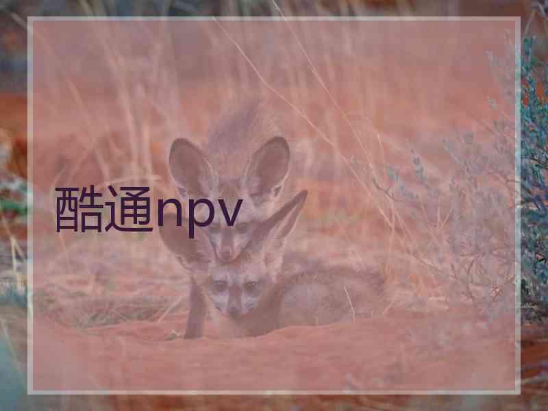 酷通npv