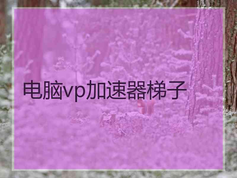 电脑vp加速器梯子