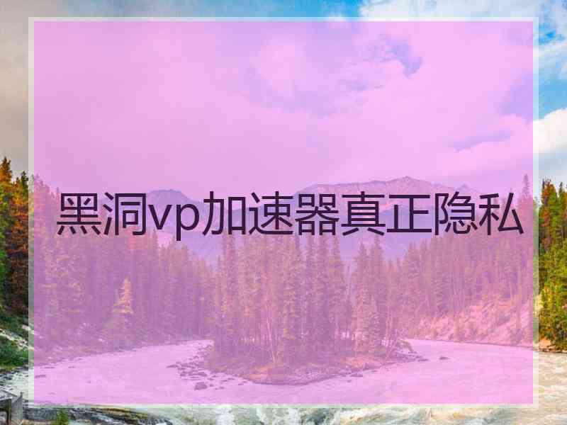 黑洞vp加速器真正隐私