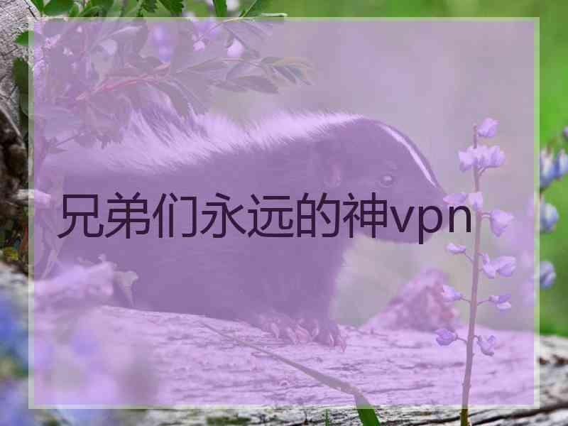 兄弟们永远的神vpn