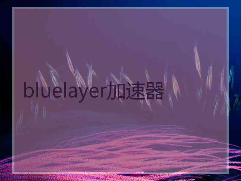 bluelayer加速器