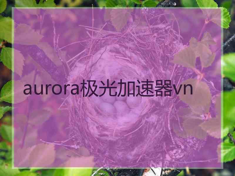 aurora极光加速器vn