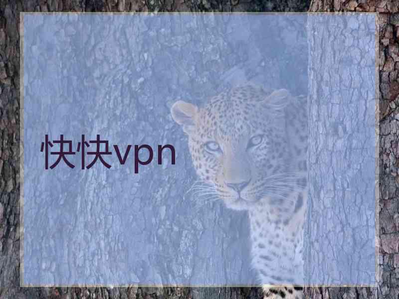 快快vpn