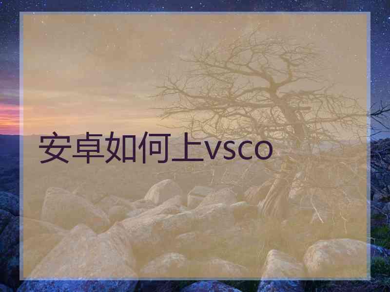 安卓如何上vsco