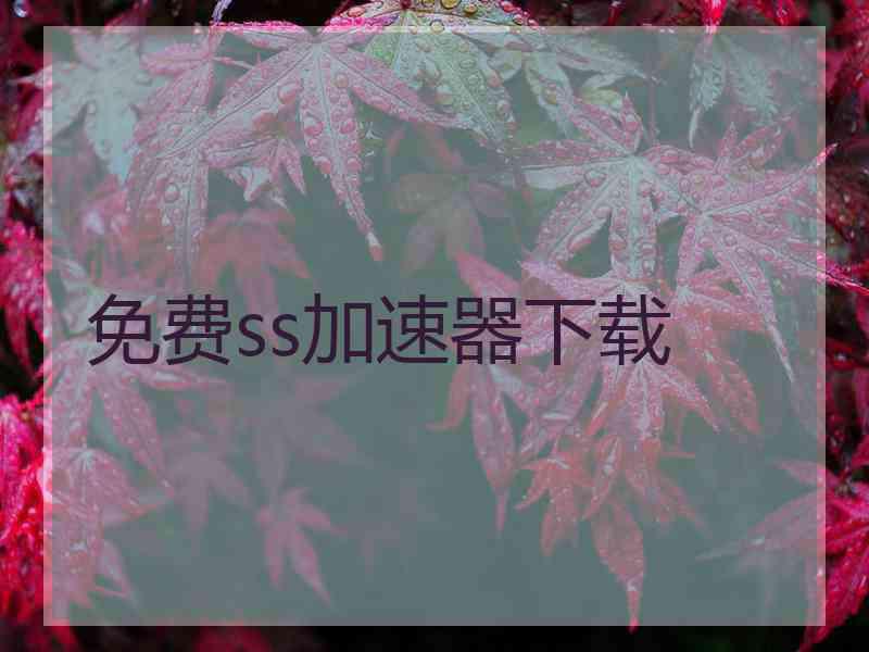 免费ss加速器下载