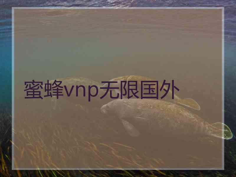 蜜蜂vnp无限国外