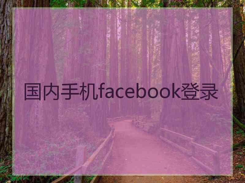 国内手机facebook登录