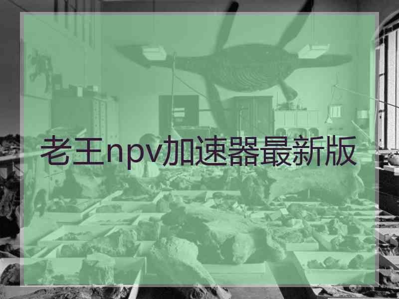 老王npv加速器最新版