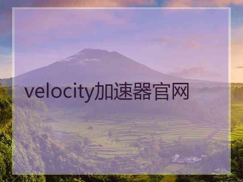 velocity加速器官网