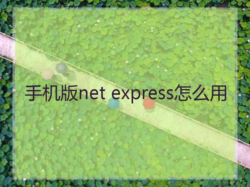 手机版net express怎么用