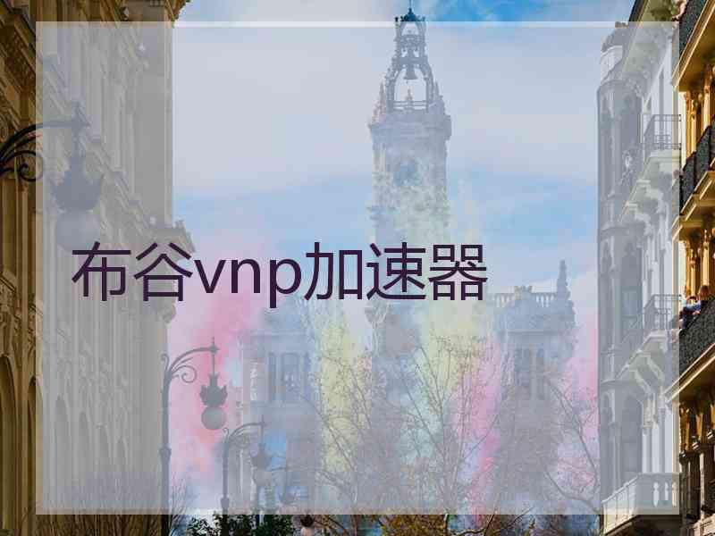 布谷vnp加速器